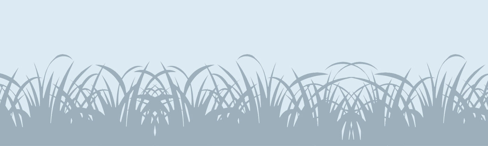 banner sea grass